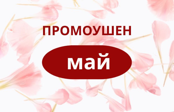 фотография к новости